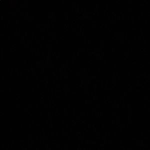 Meet your Posher, Ramiro